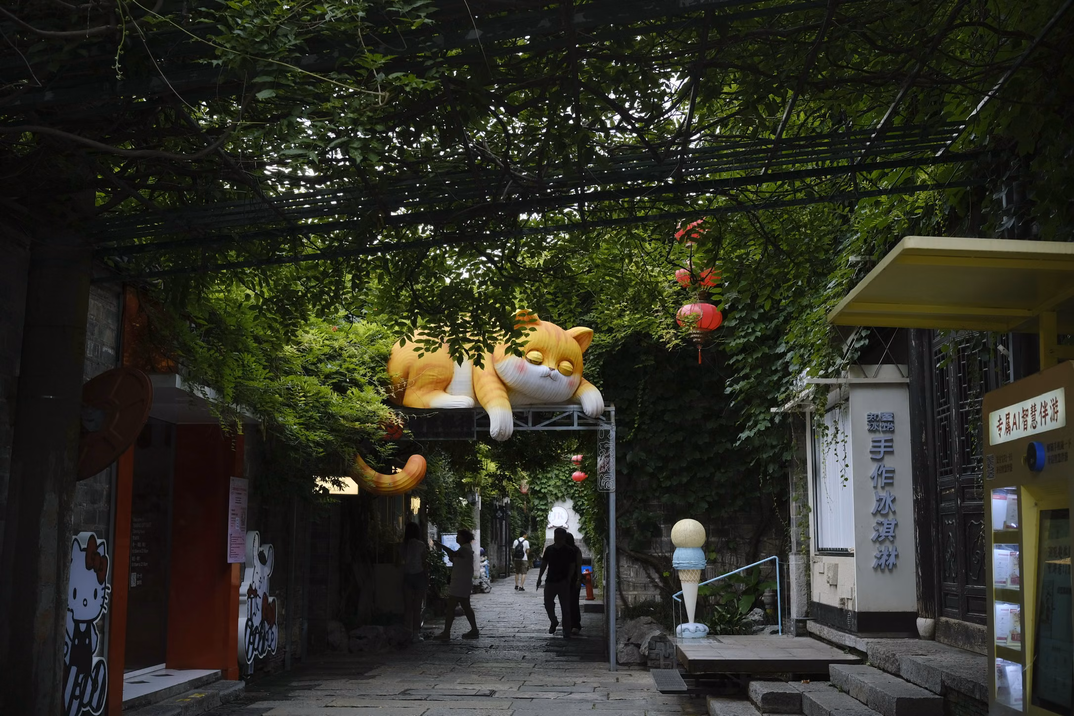 困困的猫